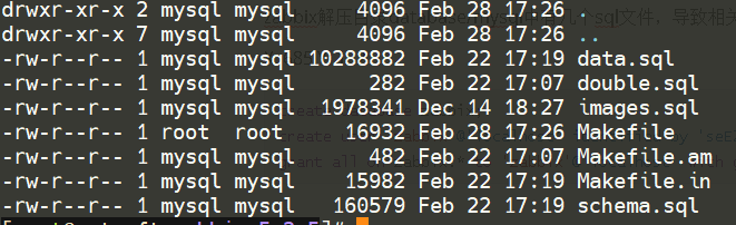 image-20210228065625055